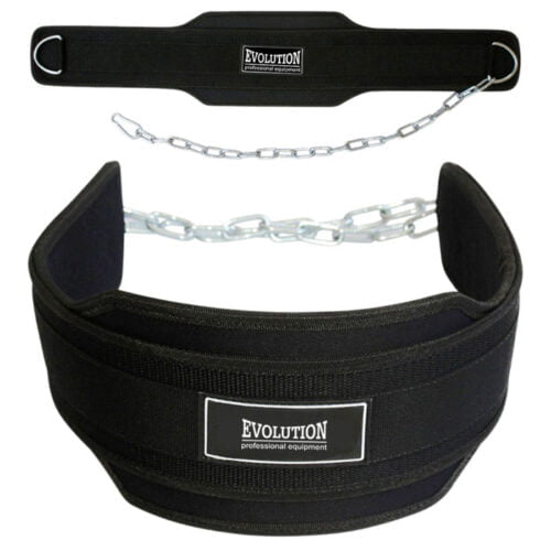 GYM Dipping Belts