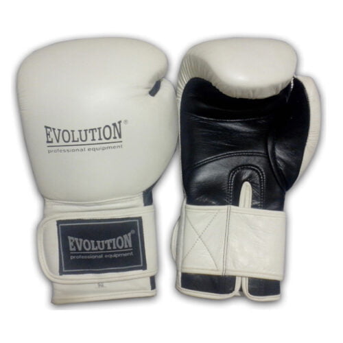 Professional Boxing Gloves