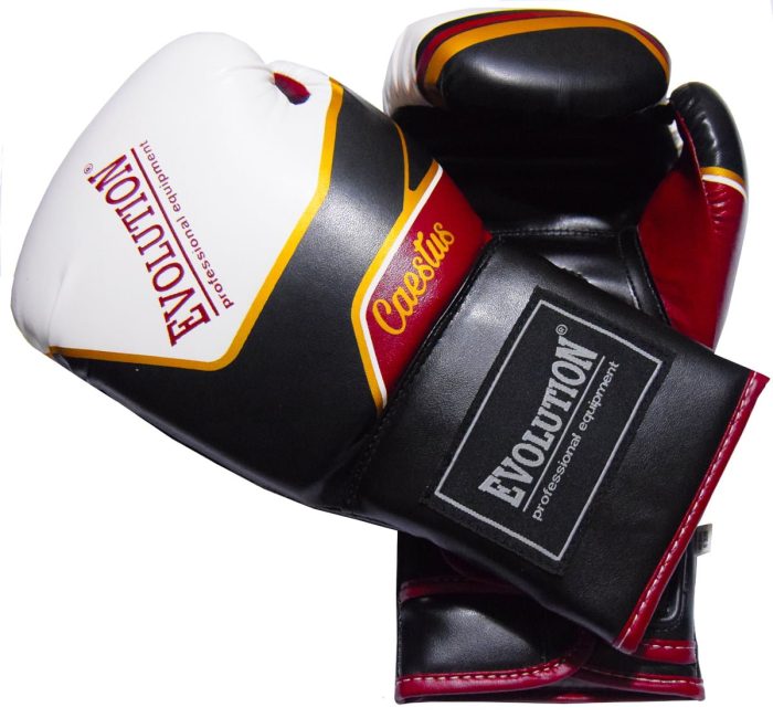 Evolution Caestus Boxing Gloves Evolution Pro Equipment