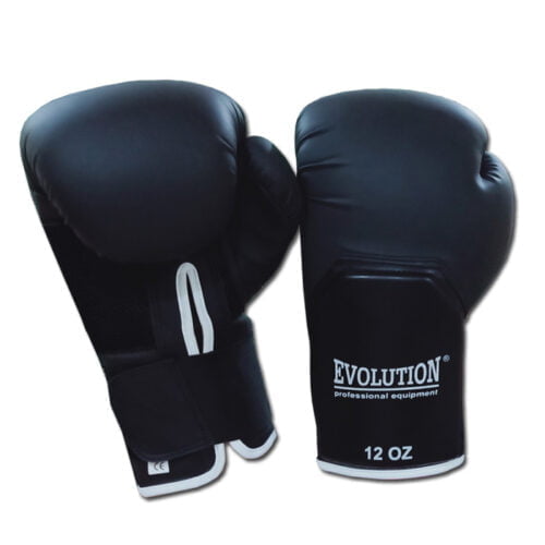 Boxing gloves DX Mate