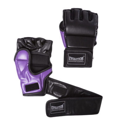 MMA Gloves Evolution Fight Gloves