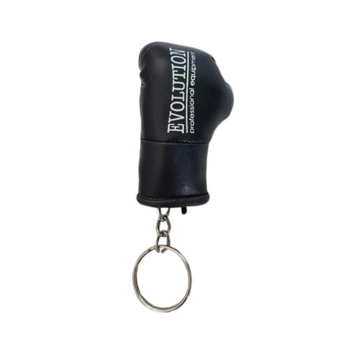 Evolution Key Chain