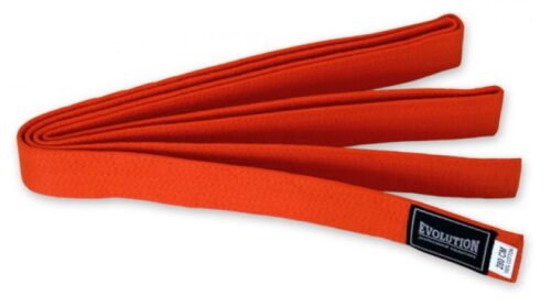 karate color belts