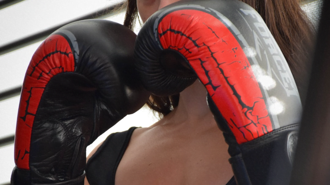 Basics of Boxing - Training for Beginners at Home 3 Evolution pro Equipment